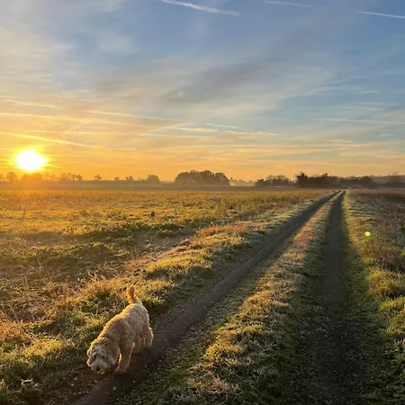 Le Renard * Vieux-Ruffec