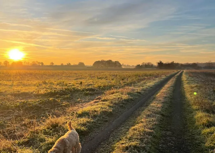 Le Renard * Vieux-Ruffec