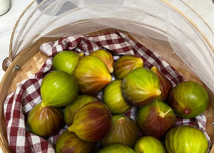 Le Renard Country house *